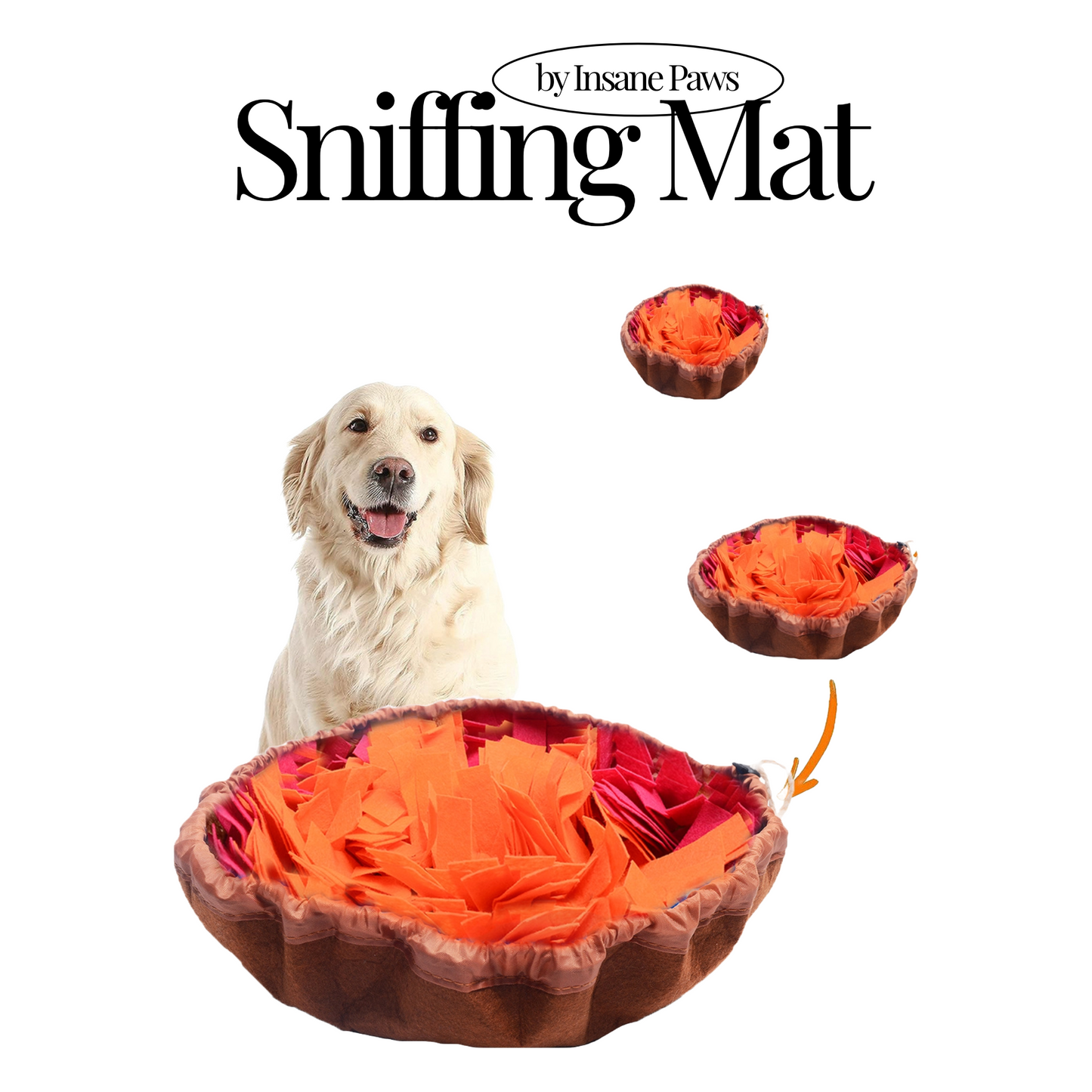 Interactive Dog Sniffing Mat